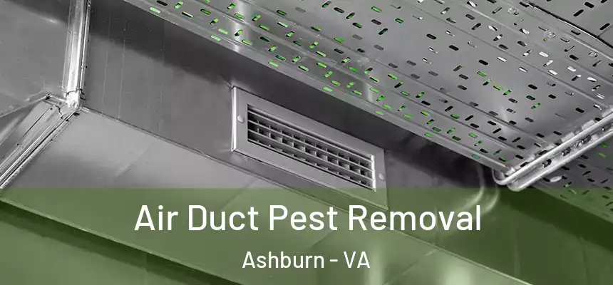 Air Duct Pest Removal Ashburn - VA