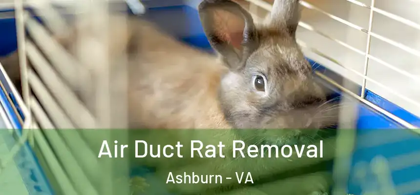 Air Duct Rat Removal Ashburn - VA