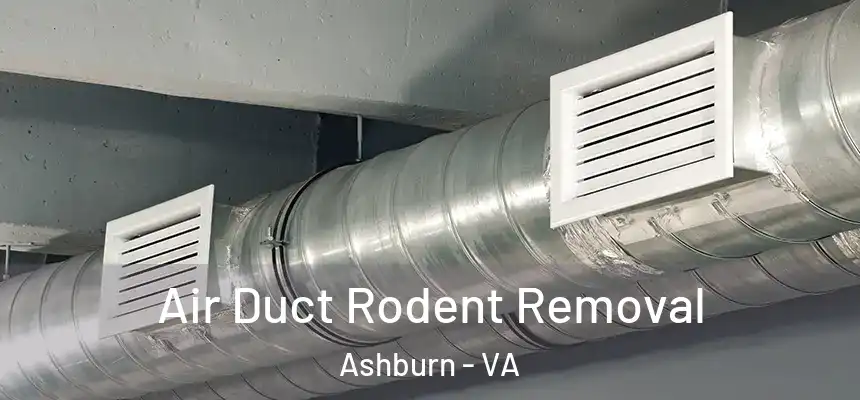 Air Duct Rodent Removal Ashburn - VA