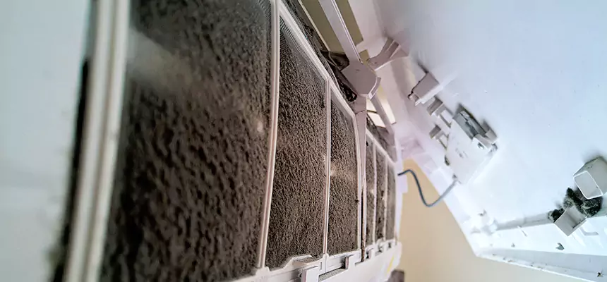 Preventive Air Duct Bacteria Removal in Ashburn