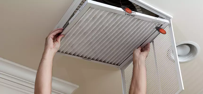 Preventive Cockroach-Proofing for Ducts in Ashburn