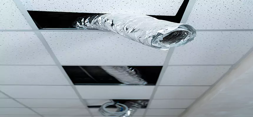 Our Air Duct Pet Hair Removal Services in Ashburn, VA