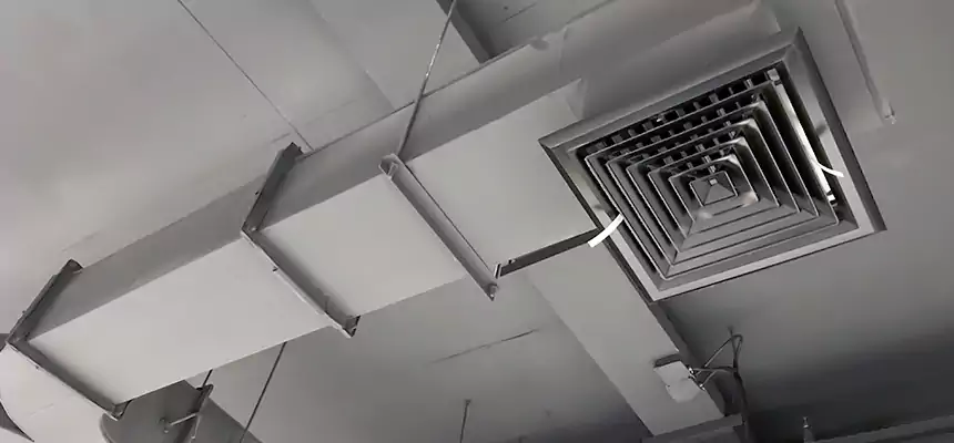 Restorative Allergy Relief Vent Cleaning – Coil, Blower & Housing Detail in Ashburn