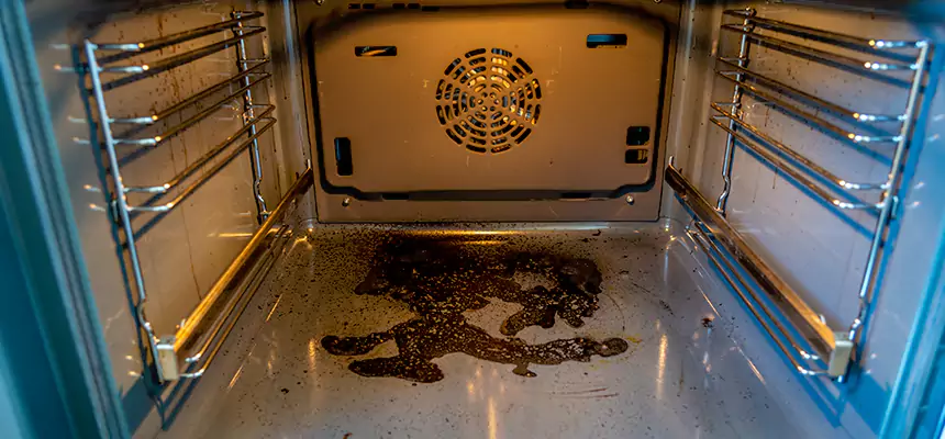 Our Dryer Vent Mold Cleaning Services in Ashburn, VA