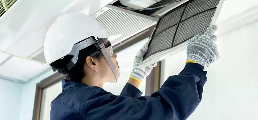 Our Mold & Mildew Removal from Air Ducts Services in Ashburn, VA