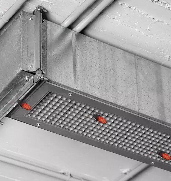 About Air Duct Cockroach Removal in Ashburn, VA