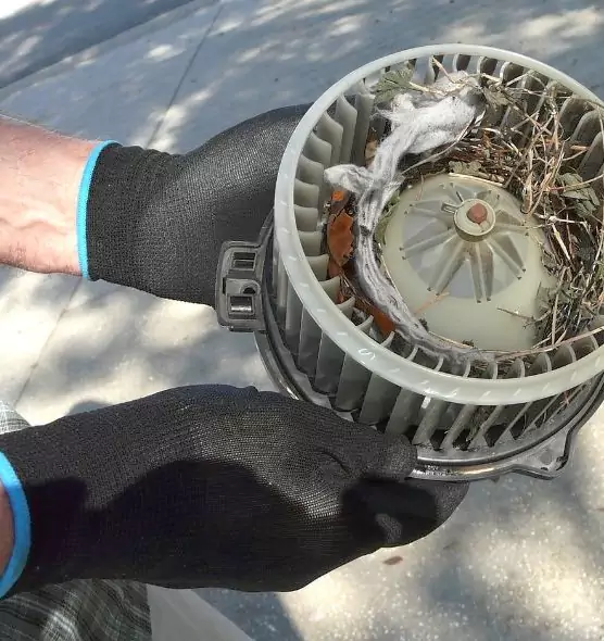 About Air Duct Mice Removal in Ashburn, VA