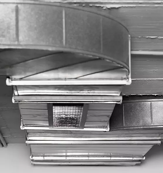 Professional Air Duct Pet Hair Removal in Ashburn, VA