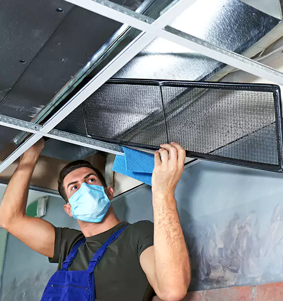 Professional Air Duct Pollen Cleaning in Ashburn, VA