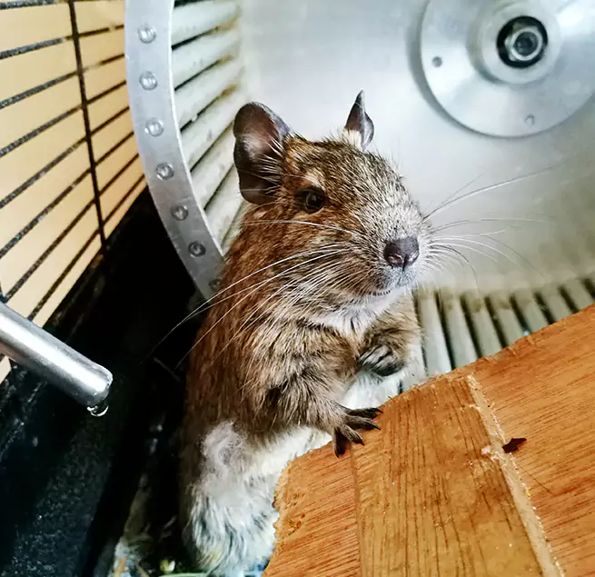 Why Homeowners & Businesses Trust Us Ashburn, VA