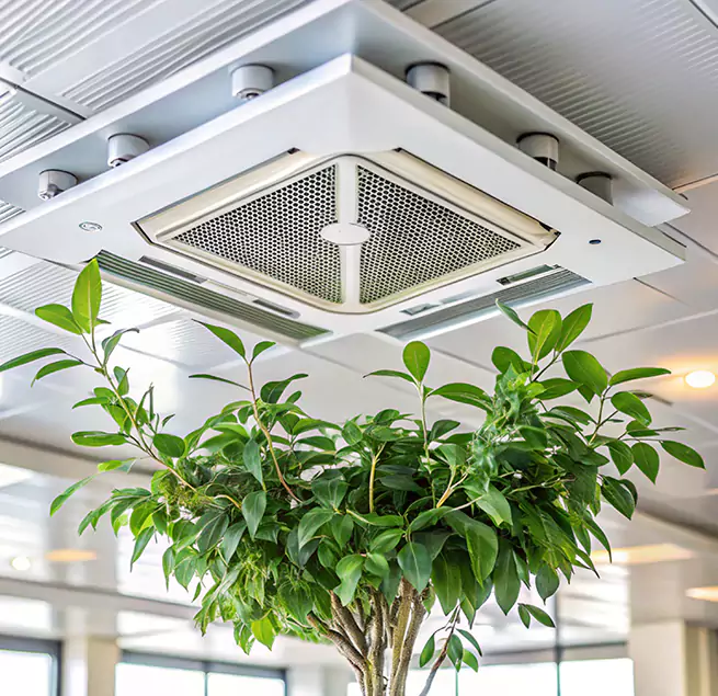 Why Homeowners & Businesses Trust Us in Ashburn, VA?