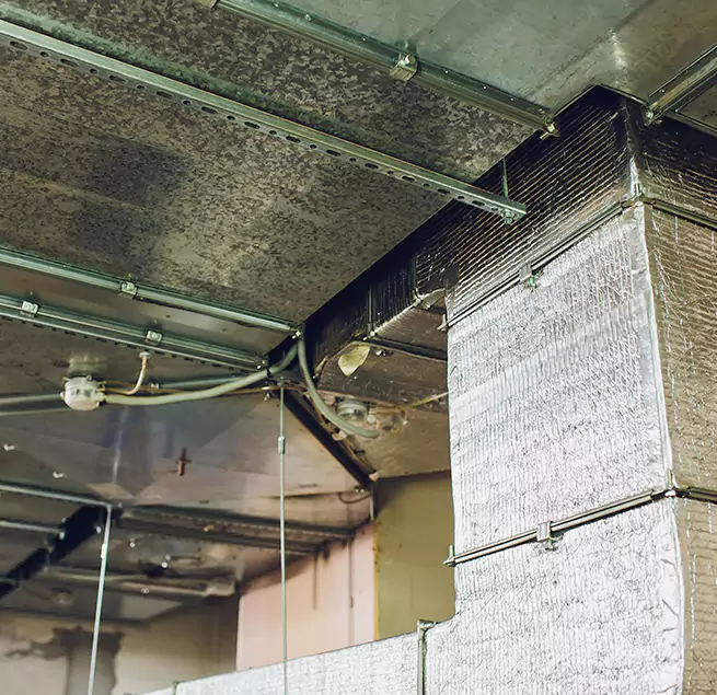 Why Homeowners & Businesses Trust Us in Ashburn, VA?